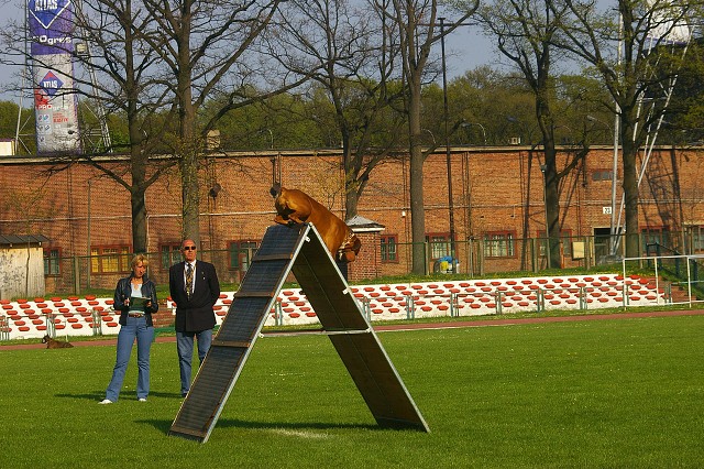 www.atibox.net
