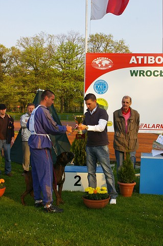 www.atibox.net