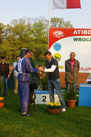 www.atibox.net
