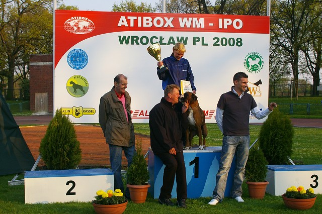 www.atibox.net