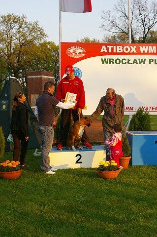 www.atibox.net