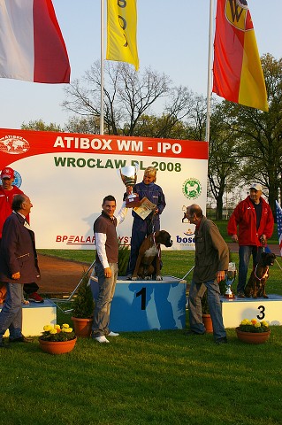 www.atibox.net