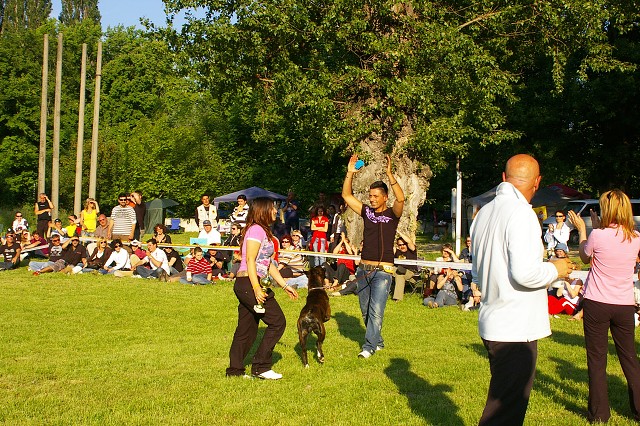 www.atibox.com