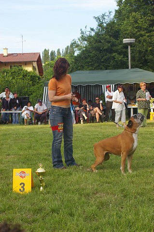 www.atibox.com