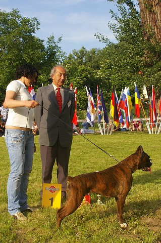 www.atibox.com