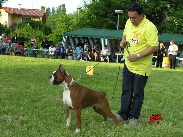 www.atibox.com