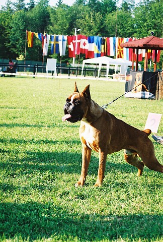 Kynologická revue - www.dogsk.sk