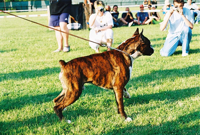 Kynologická revue - www.dogsk.sk