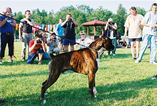 Kynologická revue - www.dogsk.sk