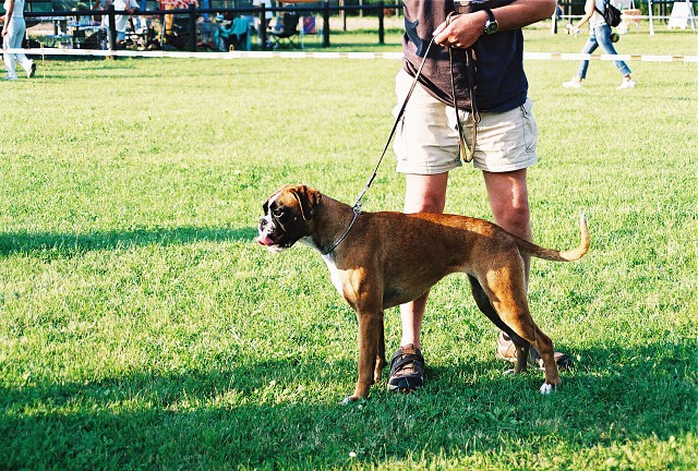 Kynologická revue - www.dogsk.sk