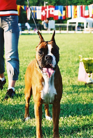 Kynologická revue - www.dogsk.sk