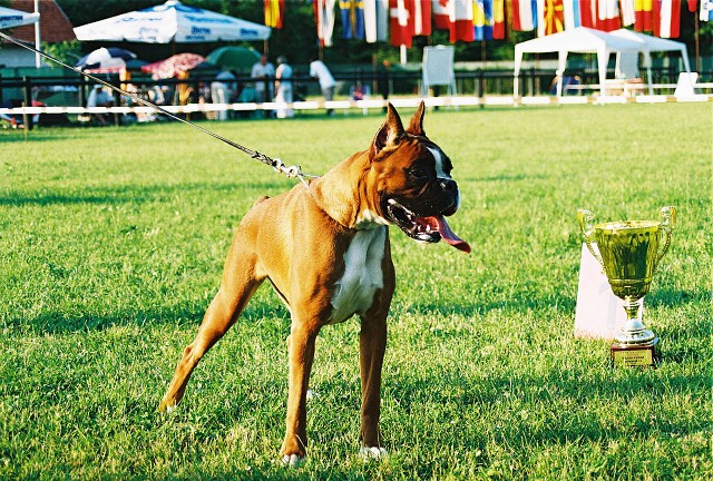 Kynologická revue - www.dogsk.sk