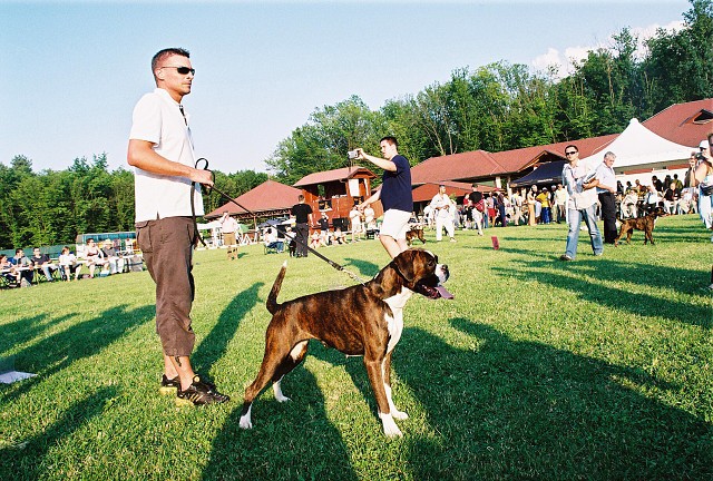 Kynologická revue - www.dogsk.sk