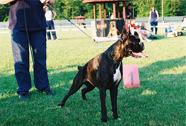 Kynologická revue - www.dogsk.sk