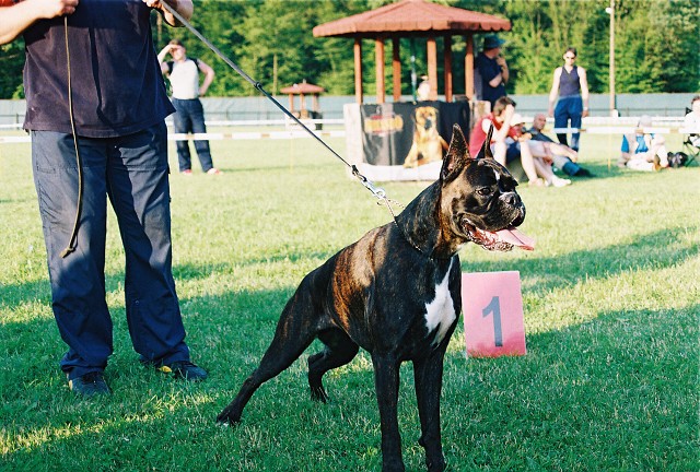 Kynologická revue - www.dogsk.sk