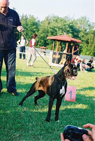 Kynologická revue - www.dogsk.sk
