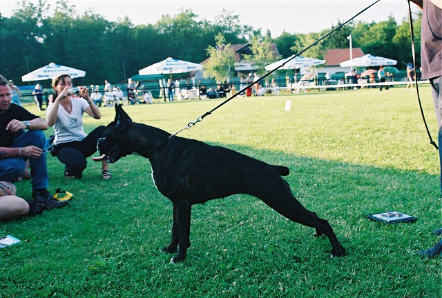 Kynologická revue - www.dogsk.sk