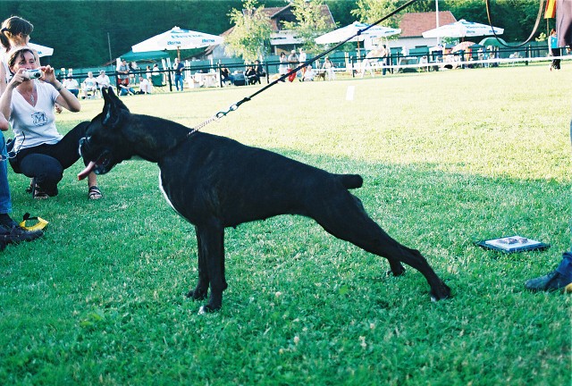 Kynologická revue - www.dogsk.sk