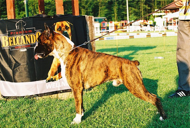 Kynologická revue - www.dogsk.sk