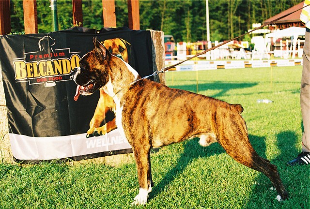 Kynologická revue - www.dogsk.sk