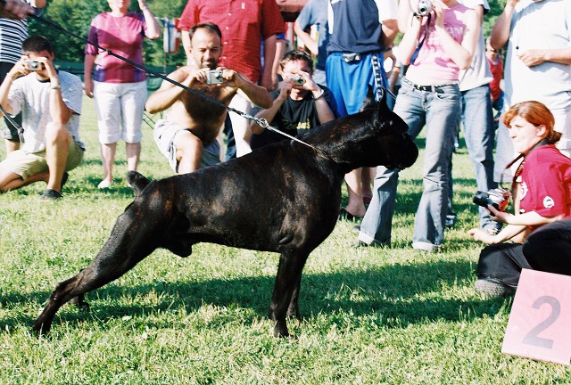 Kynologická revue - www.dogsk.sk