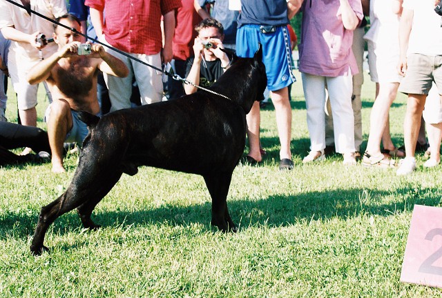 Kynologická revue - www.dogsk.sk