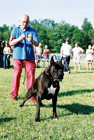 Kynologická revue - www.dogsk.sk