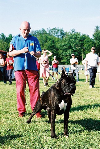 Kynologická revue - www.dogsk.sk