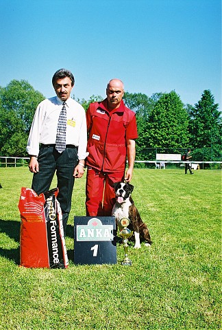 Slovenský boxer klub - www.dogsk.sk/boxer