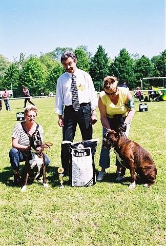 Slovenský boxer klub - www.dogsk.sk/boxer