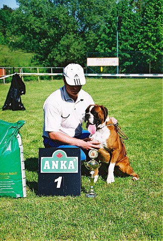Slovenský boxer klub - www.dogsk.sk/boxer