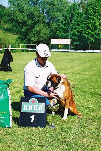 Slovenský boxer klub - www.dogsk.sk/boxer