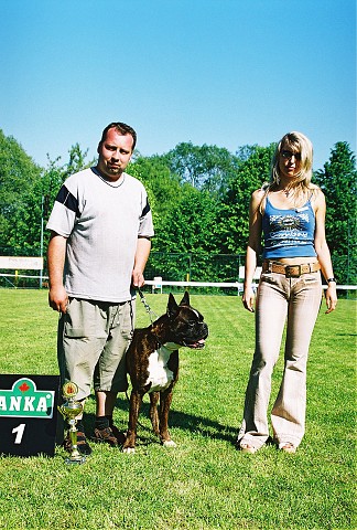 Slovenský boxer klub - www.dogsk.sk/boxer