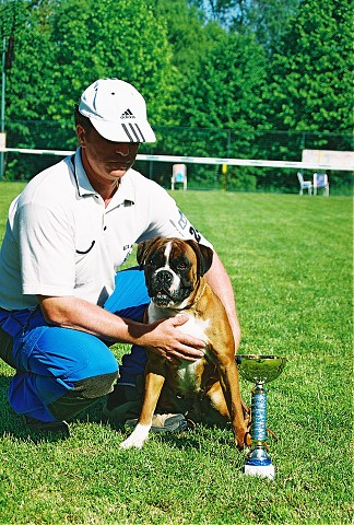 Slovenský boxer klub - www.dogsk.sk/boxer