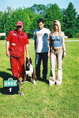 Slovenský boxer klub - www.dogsk.sk/boxer