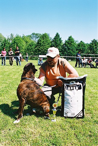 Slovenský boxer klub - www.dogsk.sk/boxer