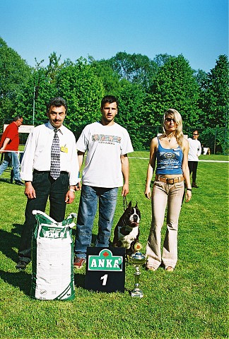 Slovenský boxer klub - www.dogsk.sk/boxer