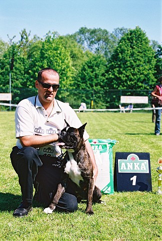 Slovenský boxer klub - www.dogsk.sk/boxer