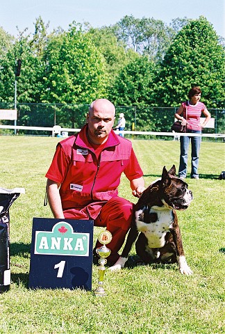 Slovenský boxer klub - www.dogsk.sk/boxer