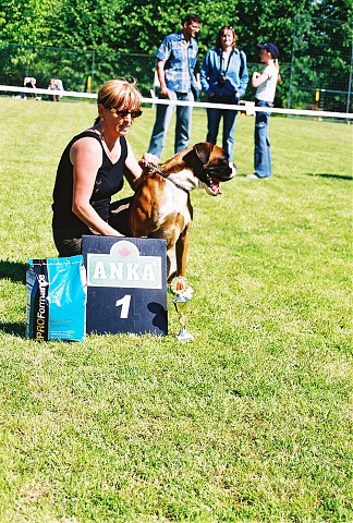 Slovenský boxer klub - www.dogsk.sk/boxer