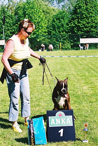Slovenský boxer klub - www.dogsk.sk/boxer