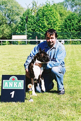 Slovenský boxer klub - www.dogsk.sk/boxer