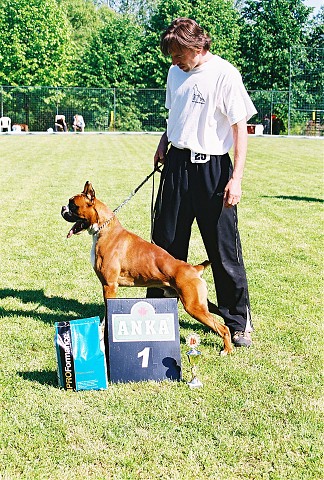 Slovenský boxer klub - www.dogsk.sk/boxer