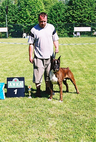 Slovenský boxer klub - www.dogsk.sk/boxer