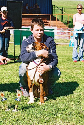 Slovenský boxer klub - www.dogsk.sk/boxer