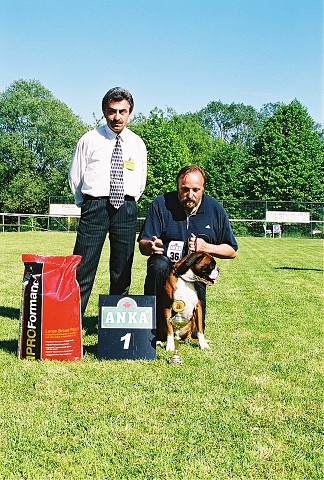 Slovenský boxer klub - www.dogsk.sk/boxer