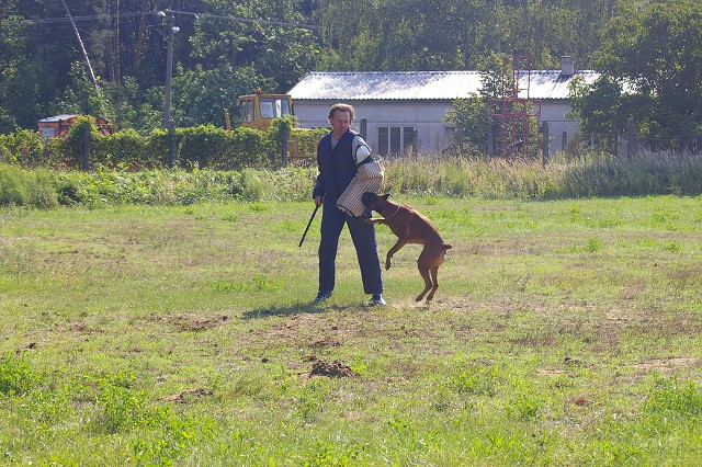 Slovenský boxer klub 