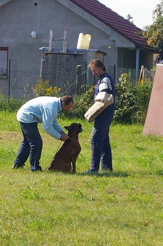 Slovenský boxer klub 