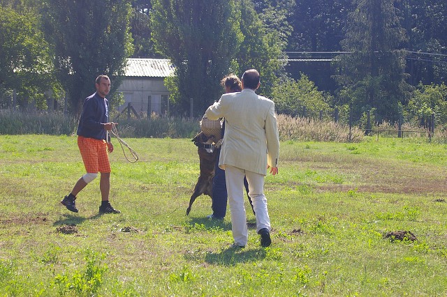 Slovenský boxer klub 