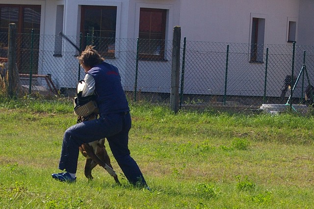 Slovenský boxer klub 